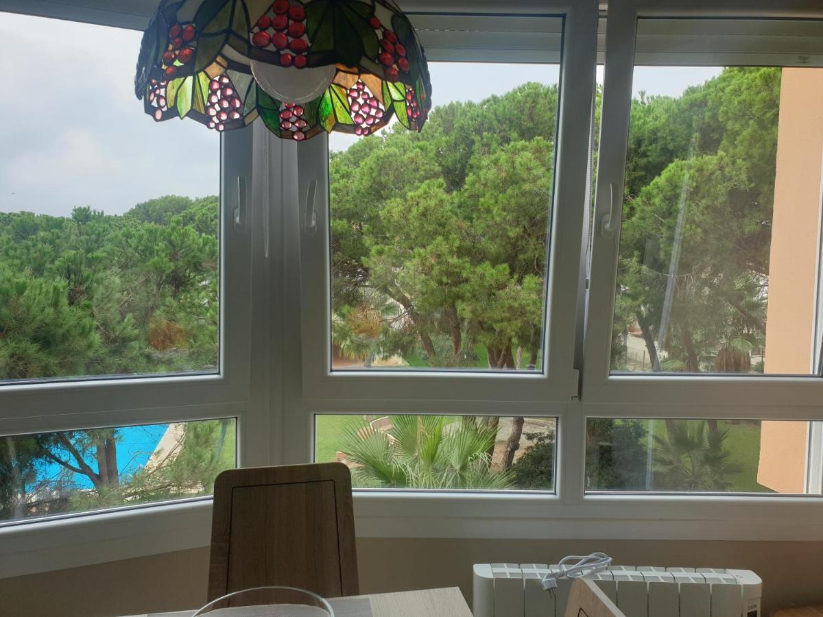 Precioso Estudio Con Piscina A 200M Del Mar 마르베야 외부 사진